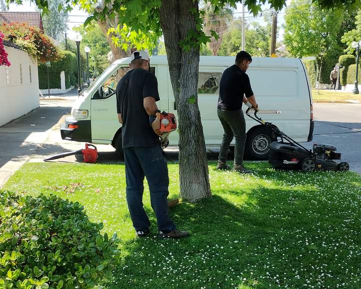 Dos jardineros cortando el pasto y soplando hojas bajo un árbol