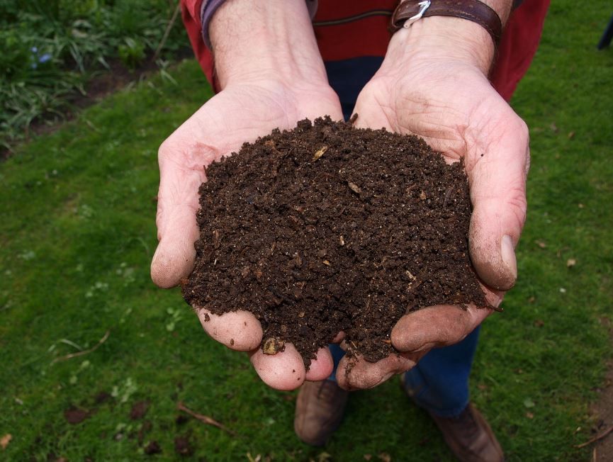 Beneficios del uso del compost en el jardín