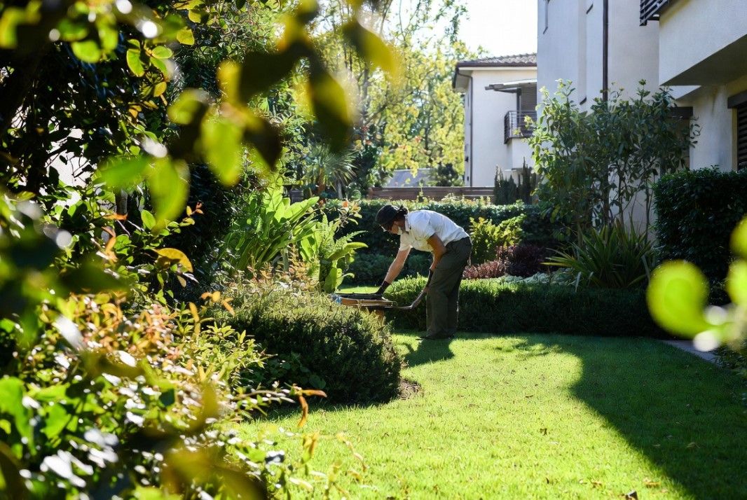 Calendario anual de aplicaciones en jardines: guía práctica mes a mes